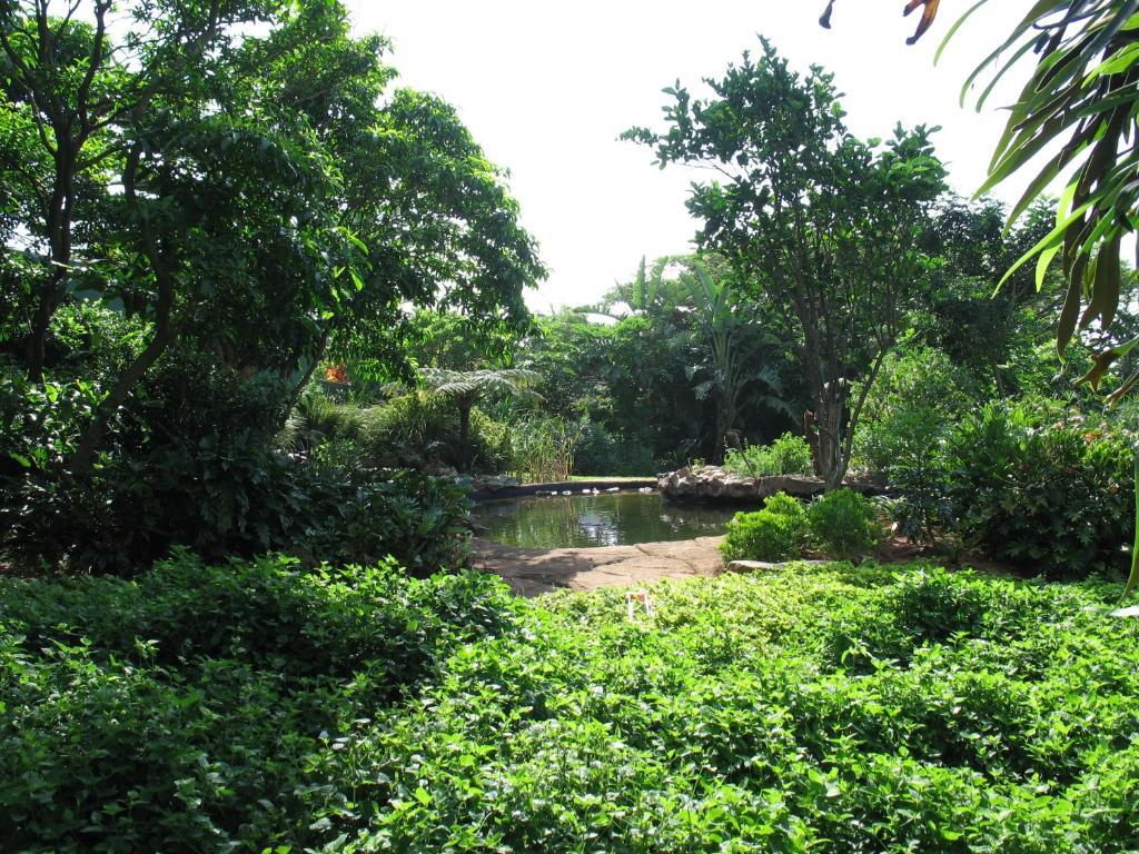 Comfort House Bed & Breakfast Ballito Bagian luar foto